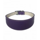 369-PURPLE